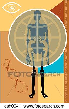 Clipart - bones. fotosearch 
- search clipart, 
illustration, 
drawings and vector 
eps graphics images