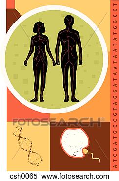 Stock Illustration - reproduction. 
fotosearch - search 
clipart, illustration, 
drawings and vector 
eps graphics images