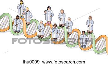 Stock Illustration - doctors standing 
on a dna strand. 
fotosearch - search 
clipart, illustration, 
drawings and vector 
eps graphics images