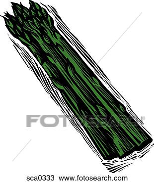 Drawing - asparagus. fotosearch 
- search clipart, 
illustration, 
drawings and vector 
eps graphics images