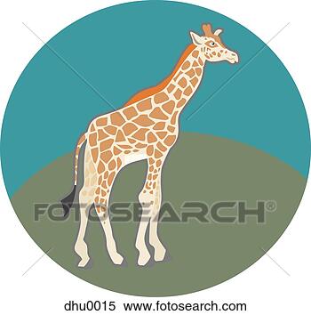 Stock Illustration - giraffe. fotosearch 
- search clipart, 
illustration, 
drawings and vector 
eps graphics images