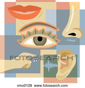 Stock Illustration - the five senses. 
fotosearch - search 
clipart, illustration, 
drawings and vector 
eps graphics images
