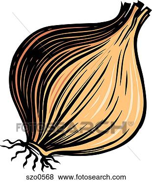 Stock Illustration - a bulb of yellow 
onion on a white 
background. fotosearch 
- search clipart, 
illustration, 
drawings and vector 
eps graphics images