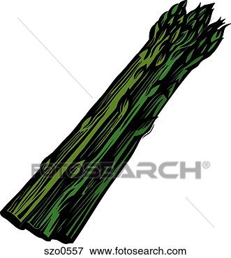 Stock Illustration - a bunch of asparagus 
on a white background. 
fotosearch - search 
clipart, illustration, 
drawings and vector 
eps graphics images