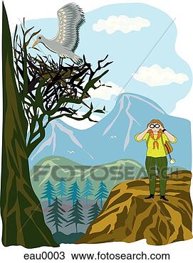 Drawing - a woman uses her 
binocular for 
bird watching. 
fotosearch - search 
clipart, illustration, 
drawings and vector 
eps graphics images