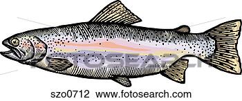 Clip Art - a drawing of a 
rainbow trout. 
fotosearch - search 
clipart, illustration, 
drawings and vector 
eps graphics images
