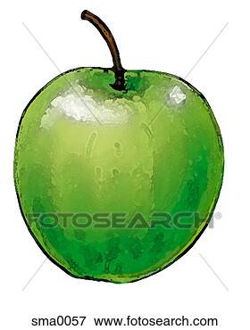 Stock Illustration - illustration, 
food, produce, 
cartoons, graphics. 
fotosearch - search 
clipart, illustration, 
drawings and vector 
eps graphics images