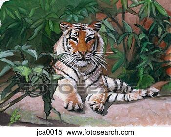 Stock Illustration - a bengal tiger 
lying on the ground. 
fotosearch - search 
clipart, illustration, 
drawings and vector 
eps graphics images