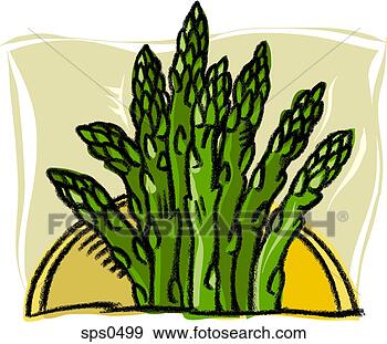 Stock Illustration - a bunch of asparagus. 
fotosearch - search 
clipart, illustration, 
drawings and vector 
eps graphics images