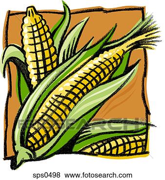 Stock Illustration - a drawing of corn. 
fotosearch - search 
clipart, illustration, 
drawings and vector 
eps graphics images
