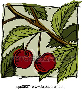 Stock Illustration - a drawing of ripe 
cherries hanging 
from the tree. 
fotosearch - search 
clipart, illustration, 
drawings and vector 
eps graphics images
