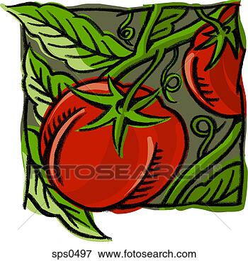 Stock Illustration - a picture of tomatoes 
on the vine. fotosearch 
- search clipart, 
illustration, 
drawings and vector 
eps graphics images