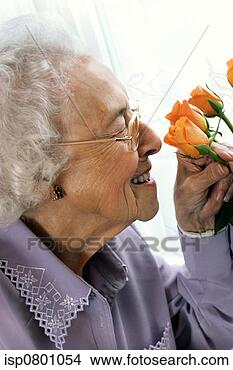 Stock Photo - an old bespectacled 
woman sniffing 
flowers. fotosearch 
- search stock 
photos, pictures, 
images, and photo 
clipart