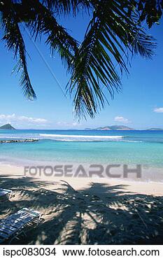 Stock Photo - cappoons bay, 
tortola, caribbean 
islands. fotosearch 
- search stock 
photos, pictures, 
images, and photo 
clipart