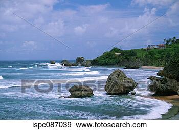 Stock Photograph - rock formation 
on a rough coast, 
 bathsheba,  barbados, 
 east. fotosearch 
- search stock 
photos, pictures, 
images, and photo 
clipart