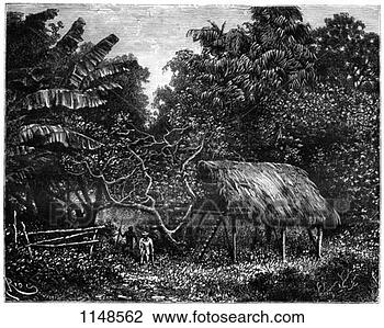 Stock Photo - guyana, south 
america, 19th 
century. fotosearch 
- search stock 
photos, pictures, 
images, and photo 
clipart