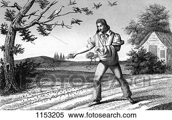 Stock Image - french agriculture; 
sowing seed broadcast, 
late 18th century. 
fotosearch - search 
stock photos, 
pictures, images, 
and photo clipart