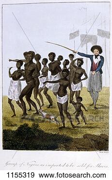 Stock Photograph - 'group of negros, 
as imported to 
be sold for slaves', 
surinam, 1793. 
fotosearch - search 
stock photos, 
pictures, images, 
and photo clipart