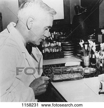 Alexander Fleming : pére de l'antibiothérapie! Alexander-fleming-scottish_~1158231