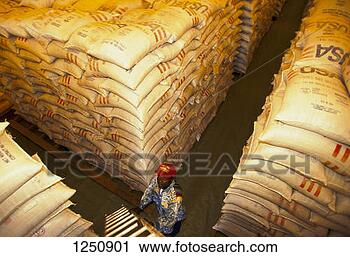 Stock Photography - a male worker 
by sacks of food 
aid,  piled high 
in a warehouse, 
 for. fotosearch 
- search stock 
photos, pictures, 
images, and photo 
clipart