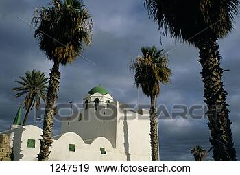 Stock Photograph - palm trees outside 
the sidi wahab 
mosque, tripoli, 
libya. fotosearch 
- search stock 
photos, pictures, 
images, and photo 
clipart