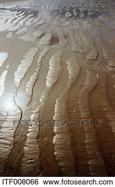 Stock Photo - beach after the 
tide has gone 
out. fotosearch 
- search stock 
photos, pictures, 
images, and photo 
clipart