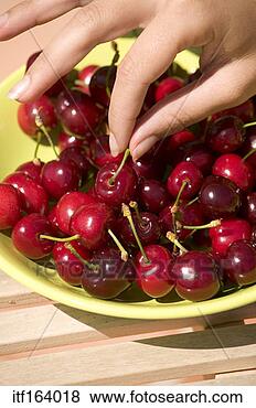 Stock Photo - hand grabbing 
cherry. fotosearch 
- search stock 
photos, pictures, 
images, and photo 
clipart