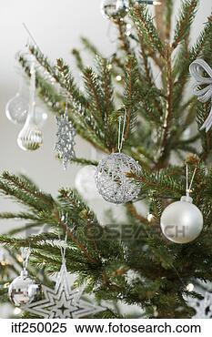 Stock Image - ornaments on a 
tree. fotosearch 
- search stock 
photos, pictures, 
images, and photo 
clipart