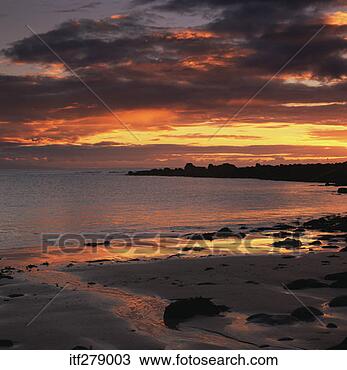 Stock Photo - beach at sunset. 
fotosearch - search 
stock photos, 
pictures, images, 
and photo clipart