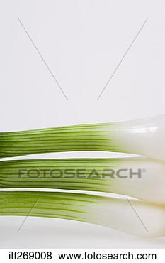 Stock Photo - spring onions. 
fotosearch - search 
stock photos, 
pictures, images, 
and photo clipart