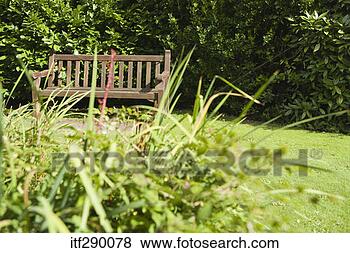 Stock Photo - bench in garden. 
fotosearch - search 
stock photos, 
pictures, images, 
and photo clipart