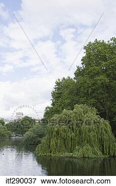 Picture - river leading 
to london eye. 
fotosearch - search 
stock photos, 
pictures, images, 
and photo clipart