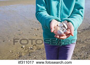 Foto - menina,  seashells. 
fotosearch - busca 
de fotos, imagens 
e clipart