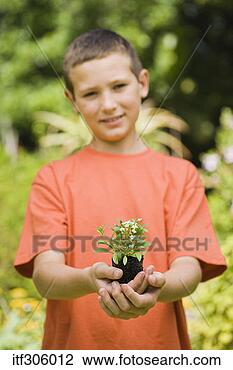 Banco de Imagem - menino,  segurando, 
 flores. fotosearch 
- busca de fotos, 
imagens e clipart