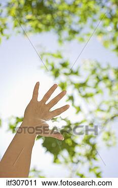 Stock Photography - hand with foliage. 
fotosearch - search 
stock photos, 
pictures, images, 
and photo clipart