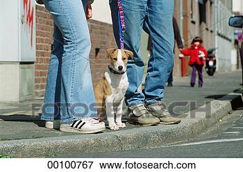 Picture - juniors, afield, 
animal, animals, 
chair, chairs. 
fotosearch - search 
stock photos, 
pictures, images, 
and photo clipart