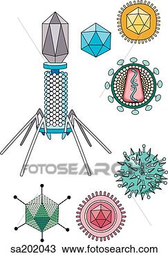 手绘图 - 描述, 在中, 7, 病毒, 哪些, emphasizes