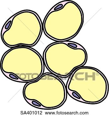 Clip Art - fat cells take 
in glucose from 
blood. fotosearch 
- search clipart, 
illustration, 
drawings and vector 
eps graphics images