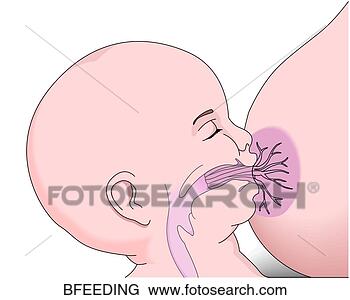 Stock Illustration - breast feeding. 
fotosearch - search 
clipart, illustration, 
drawings and vector 
eps graphics images