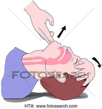 illustration head