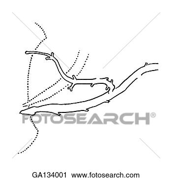 Clipart - simple line drawing 
of a common variation 
of pancreatic 
duct where an. 
fotosearch - search 
clipart, illustration, 
drawings and vector 
eps graphics images