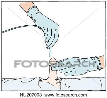 手套, <em>手</em>, 握住, 阴茎, 垂直, 垂直, 位置, 当时, 其