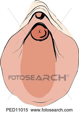 videos gratis jovencitas himen sangrando