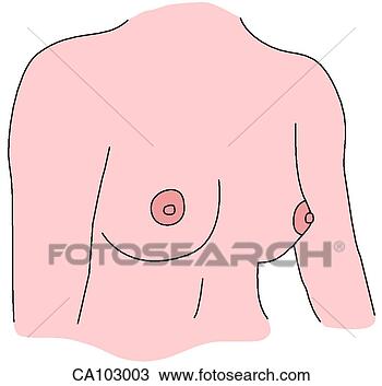 Drawing - breasts, anterolateral. 
fotosearch - search 
clipart, illustration, 
drawings and vector 
eps graphics images