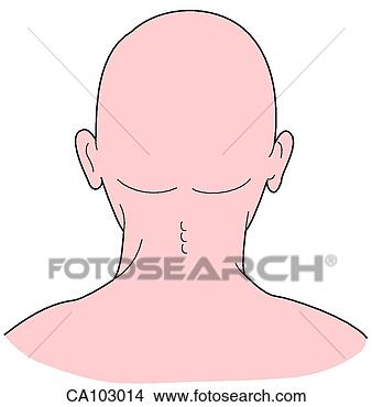 illustration head