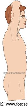 Clip Art - male in erect 
posture,  arms 
raised,  showing 
thoracic anatomy. 
fotosearch - search 
clipart, illustration, 
drawings and vector 
eps graphics images