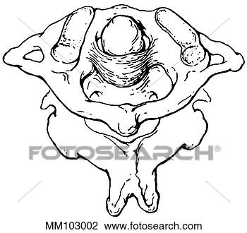 Clip Art - atlas,  eixo. 
fotosearch - busca 
de ilustrações 
clipeart e desenhos