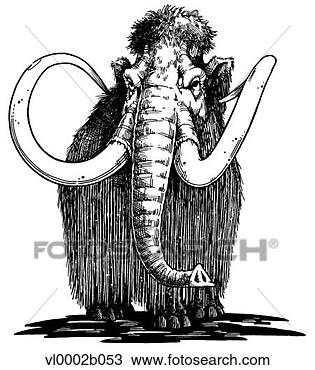 Clipart - wooly mammoth. 
fotosearch - search 
clipart, illustration, 
drawings and vector 
eps graphics images