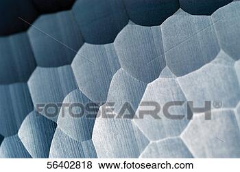 Stock Photo - close-up of beehive. 
fotosearch - search 
stock photos, 
pictures, images, 
and photo clipart