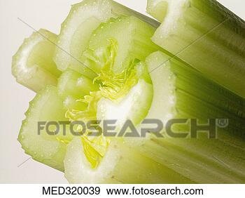 Stock Photograph - close-up of the 
end of a celery 
stalk. fotosearch 
- search stock 
photos, pictures, 
images, and photo 
clipart